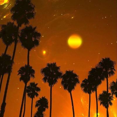 best365体育版官网下载